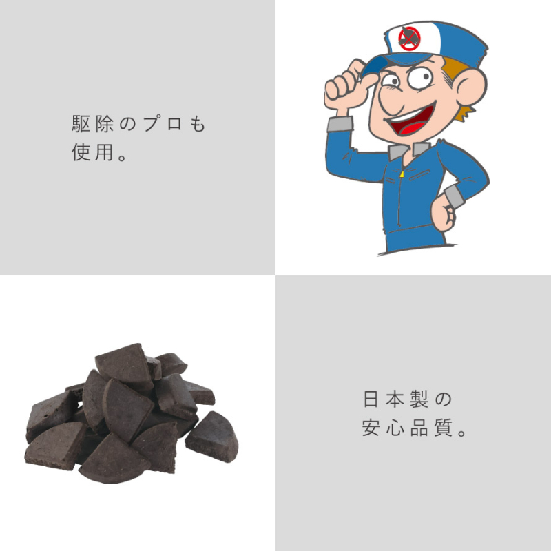 モグラ、こな〜い！