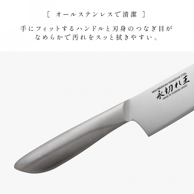 アーネスト（Arnest） 燕三条 ステンレス 包丁 オールステンレス 三徳