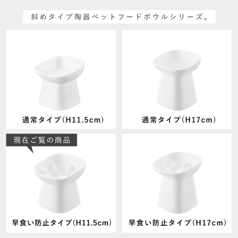 早食い防止陶器ペットフードボウル ヌークス 斜め Ｈ11.5