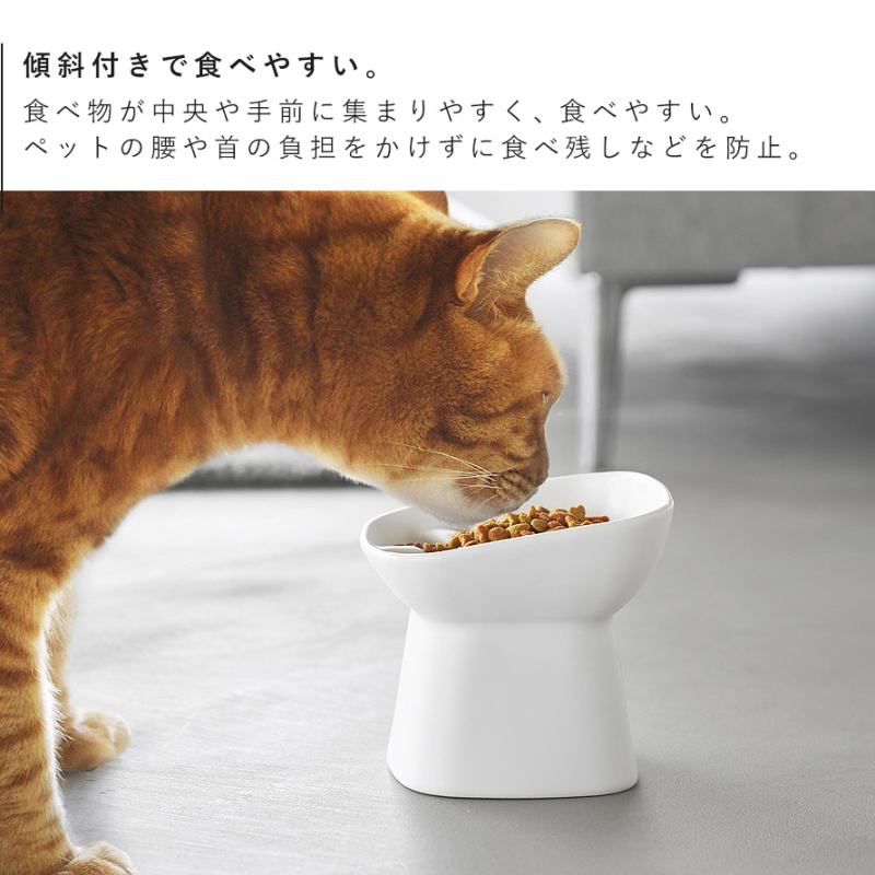 早食い防止陶器ペットフードボウル ヌークス 斜め Ｈ11.5