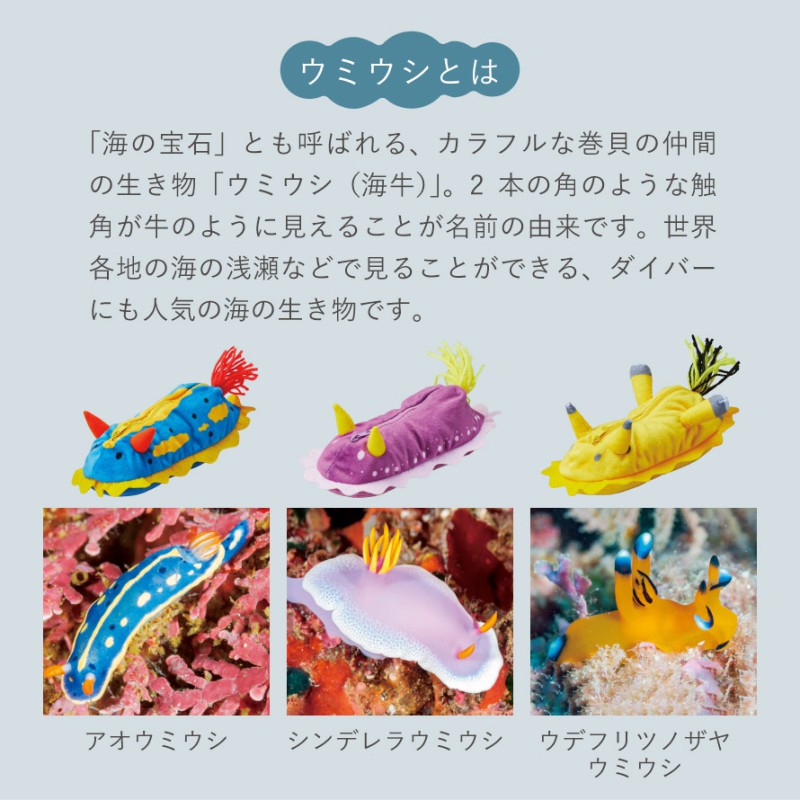 ウミウシ ペンケース