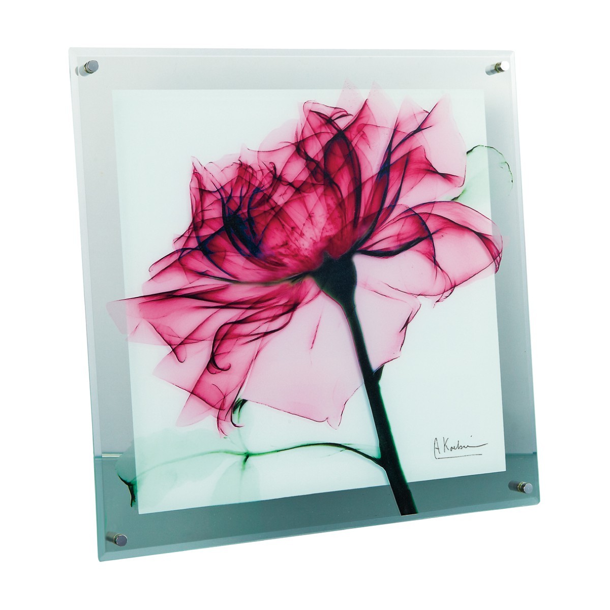 アートパネル アートフレーム アート パネル ガラスアート 絵 花 花の絵 フラワー スタイリッシュ 洗練 モダン エレガント 壁掛け インテリア ディスプレイ 額入 ココチのくらし雑貨店 通販 Yahoo ショッピング