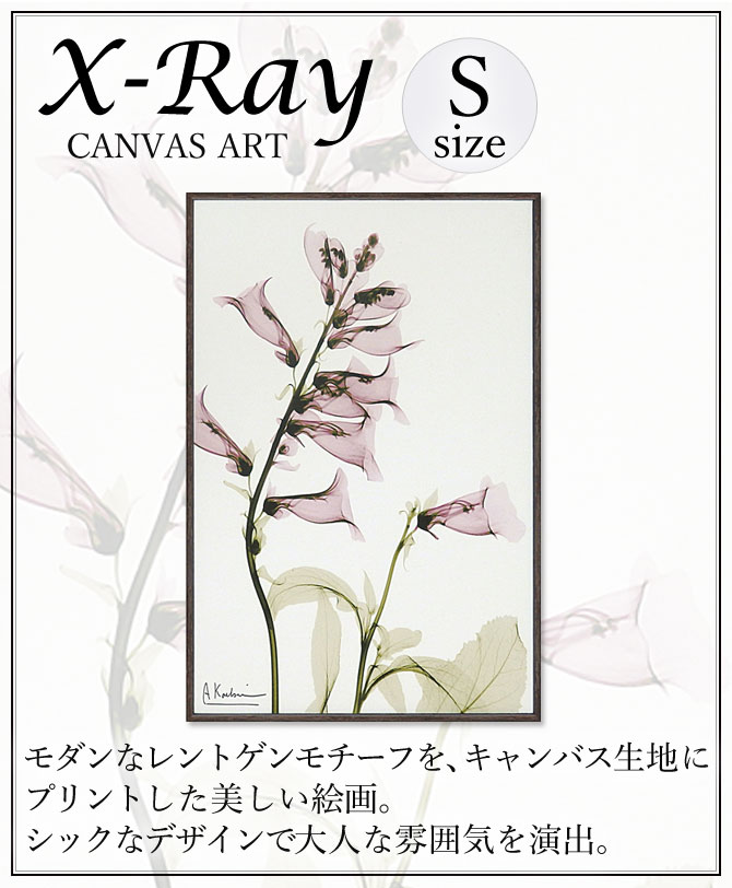 アート デザイナー絵 フレーム付き x-ray アートフレーム キャンバスアート 花 アートパネル モダン 玄関