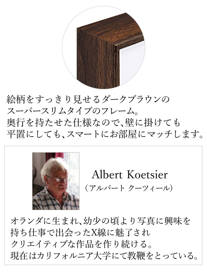 ☆未使用品☆アルバートクーツィール 花のアート作品 絵 雑貨 楽天市場】アルバート・クーツィールの通販