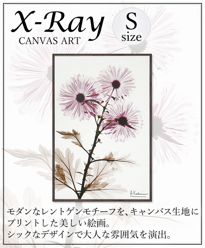 x-ray アートフレーム キャンバスアート 花 アートパネル モダン 玄関