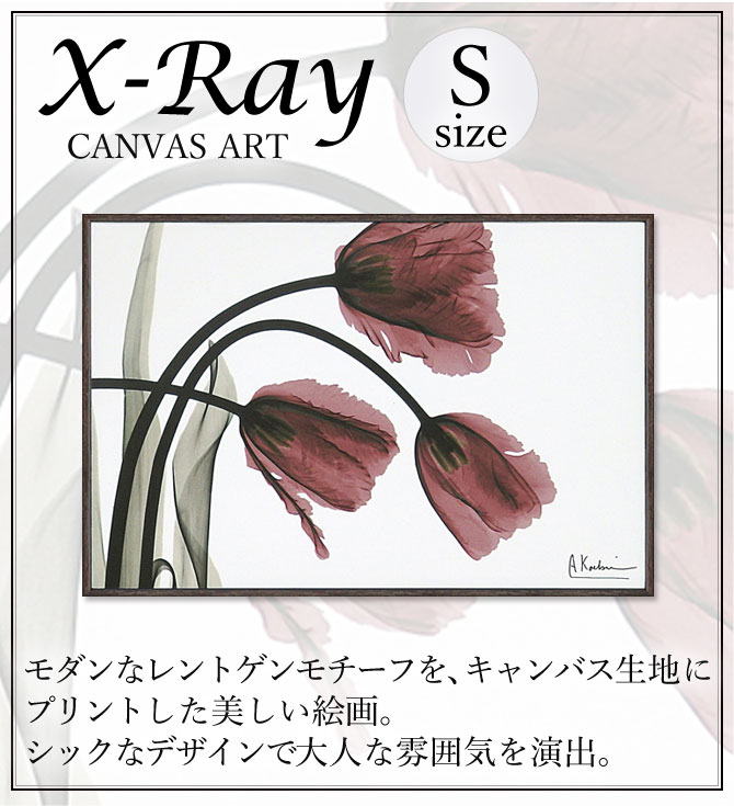 x-ray アートフレーム キャンバスアート 花 アートパネル モダン 玄関