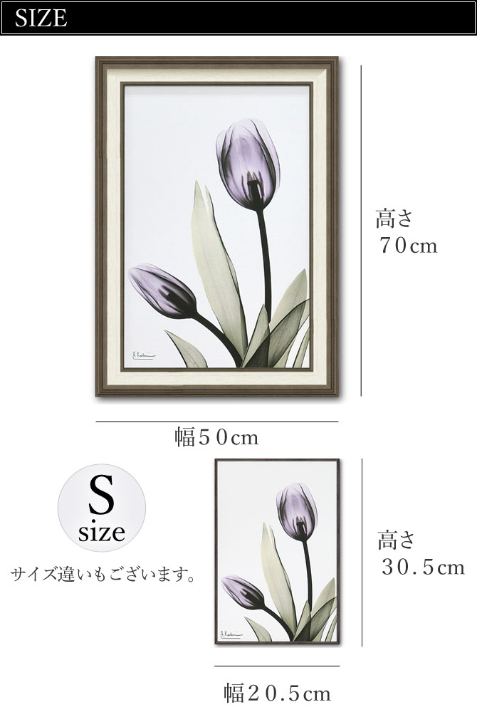 x-ray アートフレーム キャンバスアート 花 アートパネル モダン 玄関