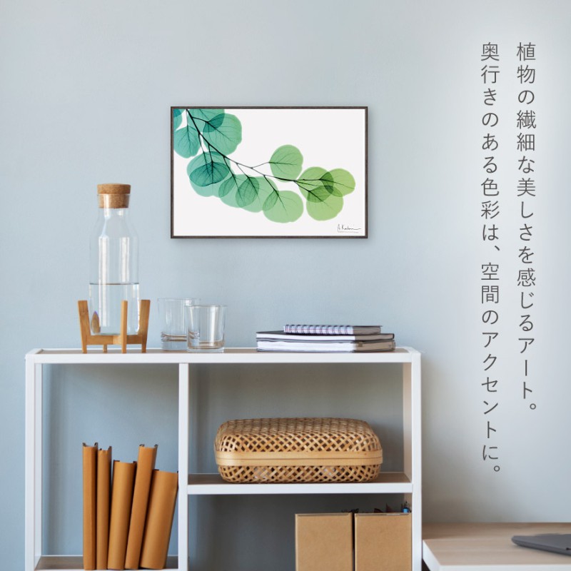 ボタニカル アートパネル 葉 植物 アート モダン 玄関 おしゃれ 絵