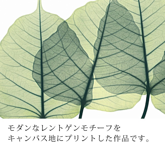 x-ray アートフレーム キャンバスアート 植物 自然 アートパネル