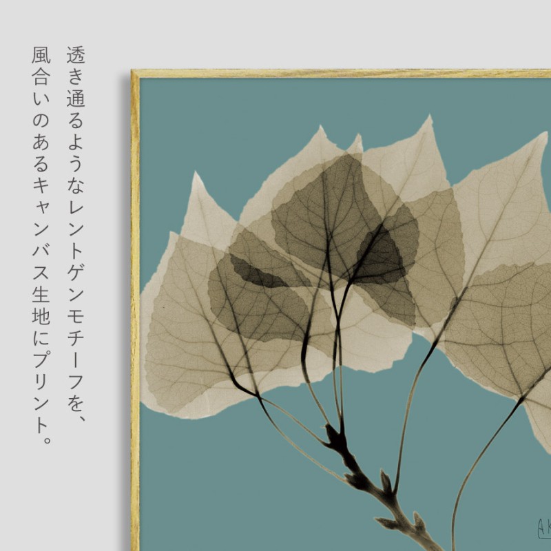 ボタニカル アートパネル 葉 植物 アート モダン 玄関 おしゃれ 絵