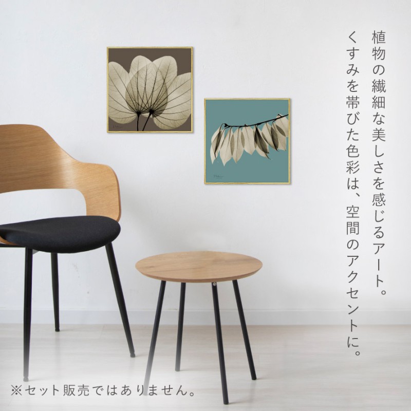 ボタニカル アートパネル 葉 植物 アート モダン 玄関 おしゃれ 絵