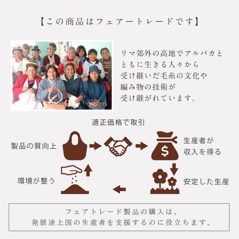 レッグウォーマー 足首ウォーマー アルパカ100％ レディース