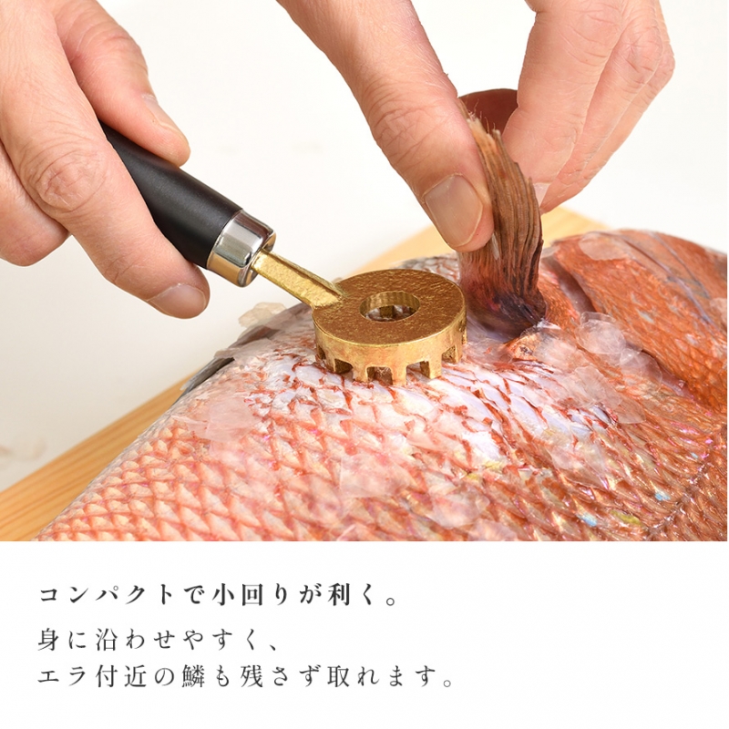 うろこ取り ウロコ取り 鱗取り 燕三条 ステンレス 日本製 高級