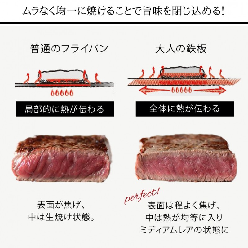 燕三条 フライパン 鉄 鉄板 蓋付き プレート 鉄板焼き 鉄板ステーキ