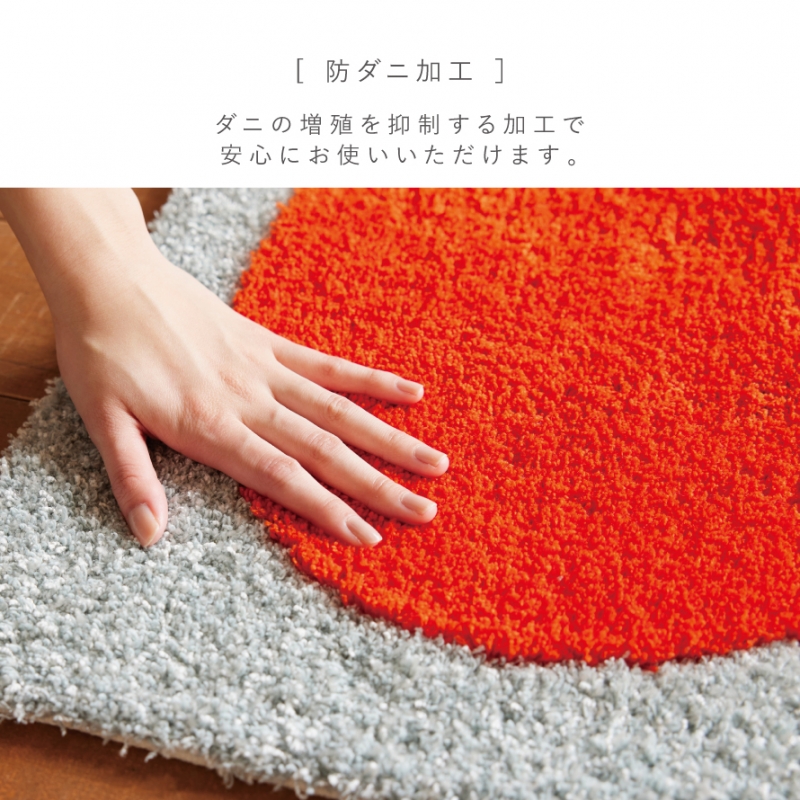 玄関マット 45×70cm 北欧 おしゃれ ラグ 小さめ 玄関 インテリア 室内