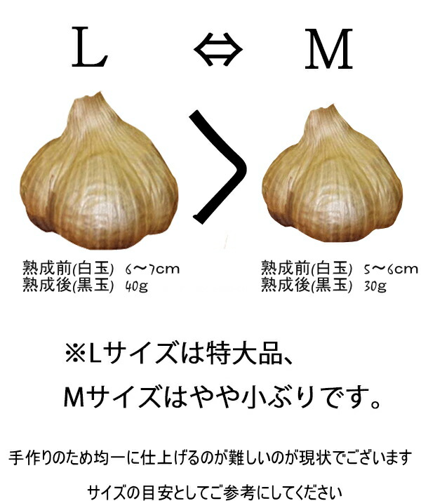 黒ニンニク 青森県産 発酵にんにく 【黒にんにく Mサイズ12株×3 黒ニンニク 青森県産 発酵にんにく 【黒にんにく Mサイズ12株×3