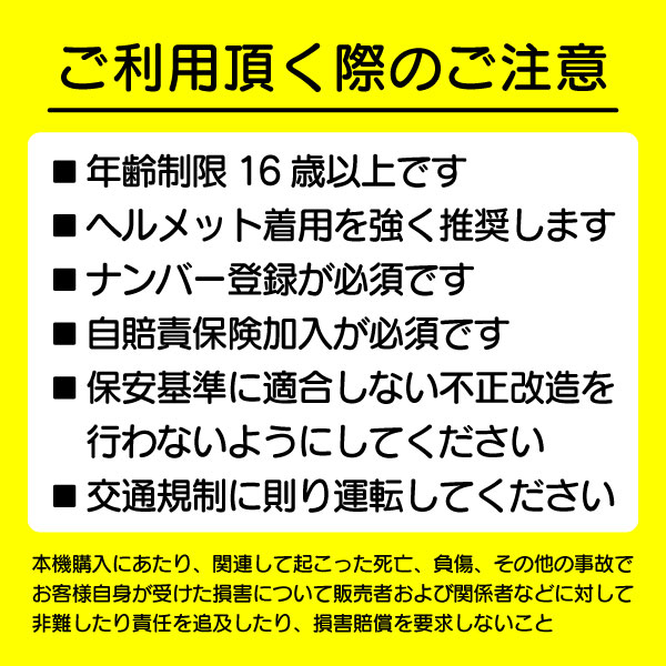 電動キックボード RICHBIT ES1 Pro