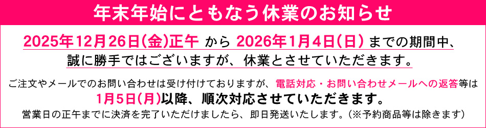 仙台藩 伊達政宗 騎馬像 ヘッダー画像