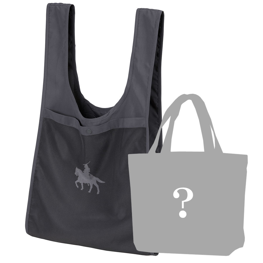 福袋 2026 バッグ トートバッグ 2点セット 政宗 プリント レディース