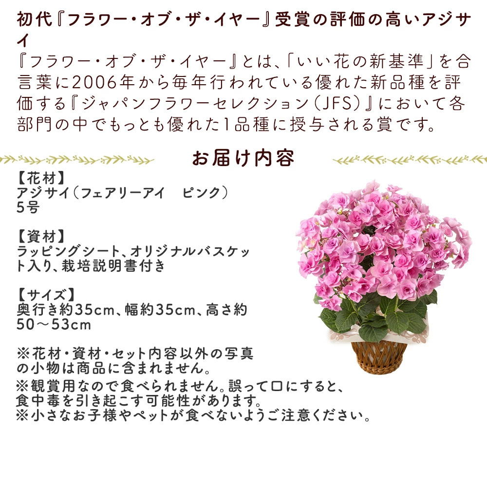 鉢植え「アジサイフェアリーアイ」 