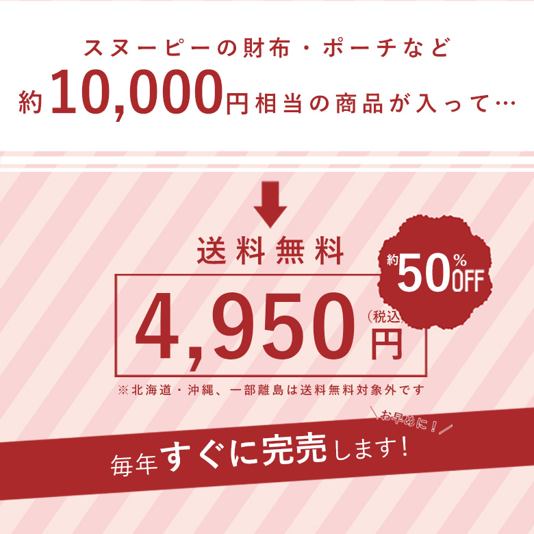 新品未使用スヌーピーまとめ売り自作福袋22点セット 20241210184011.jpg