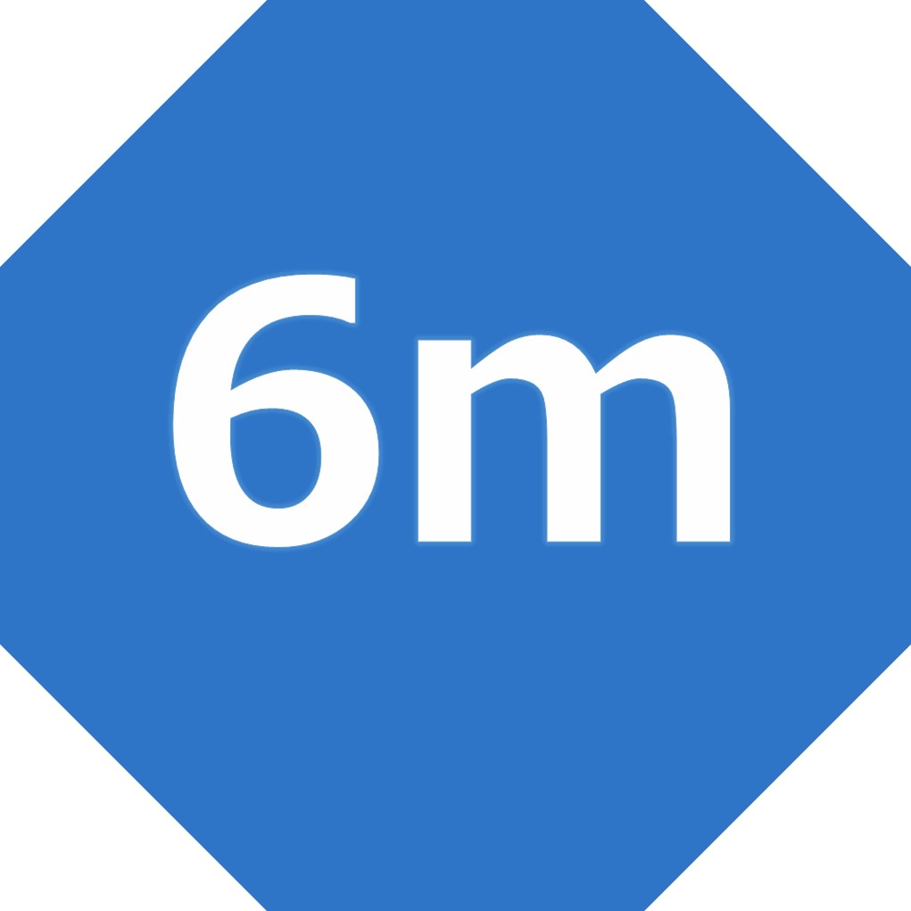 6m