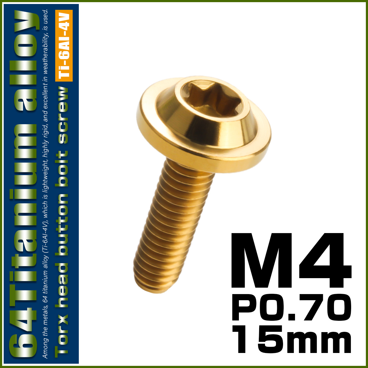 チタンボルト M6×10mm P1.0 ボタンボルト トルクスヘッド