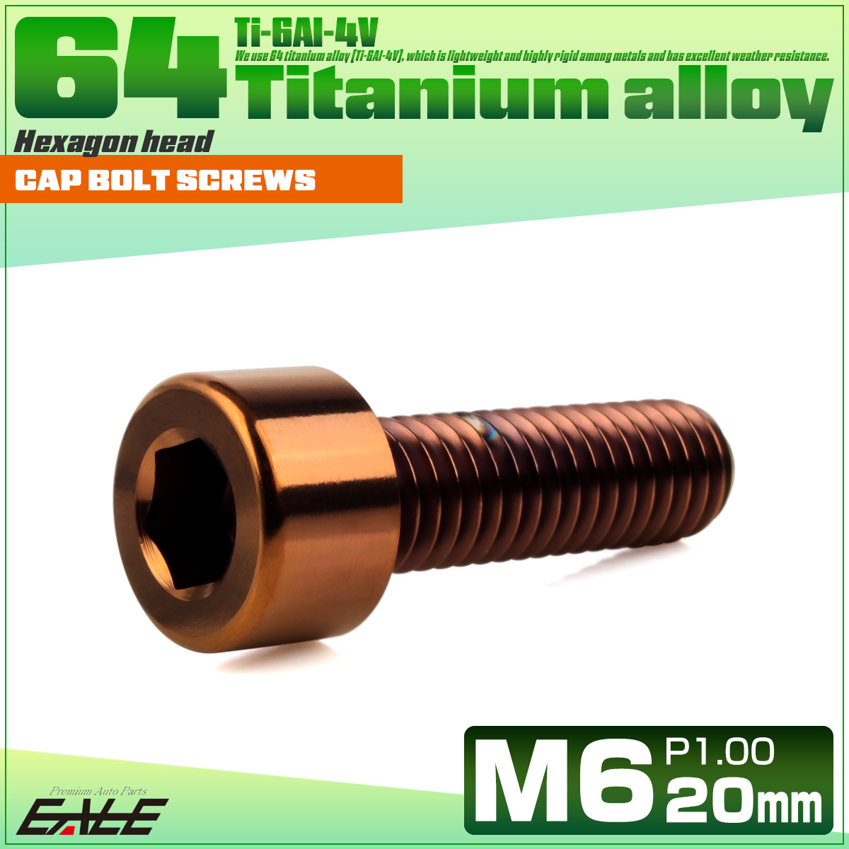 チタンボルト M6×20mm P1.0 キャップボルト キャップスクリュー 六角穴