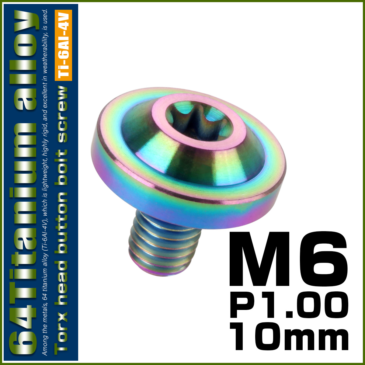 チタンボルト M6×10mm P1.0 ボタンボルト トルクスヘッド