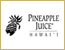 PINEAPPLE JUICE【パイナップルジュース】のロゴ 
