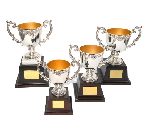 アーストロフィー 優勝カップ金属製W074 A〜Dサイズ【プレート彫刻無料