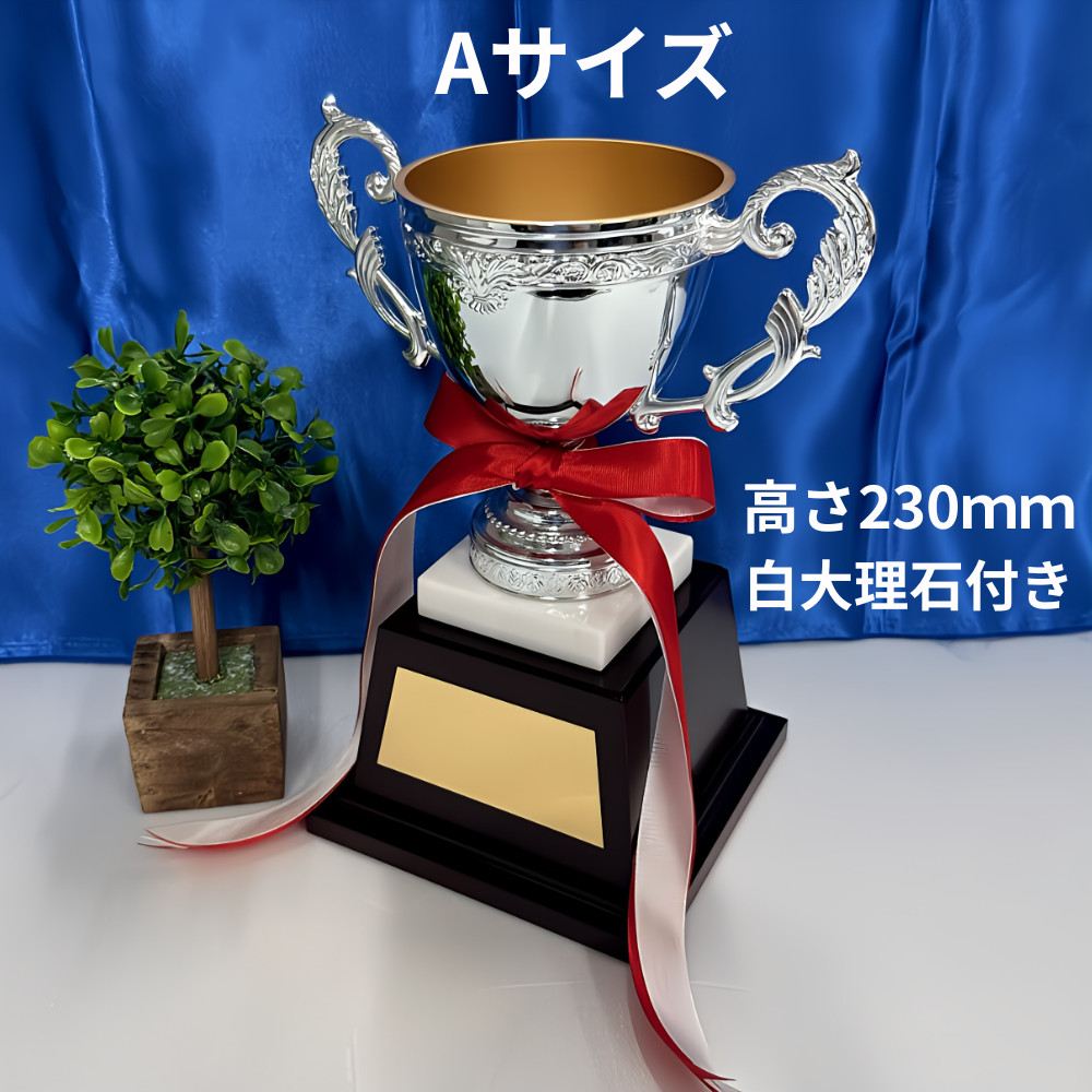 アーストロフィー 優勝カップ金属製W074 A〜Dサイズ【プレート彫刻無料