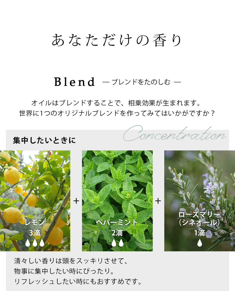 40種から選べる3本セット 各10ml アロマオイル エッセンシャルオイル