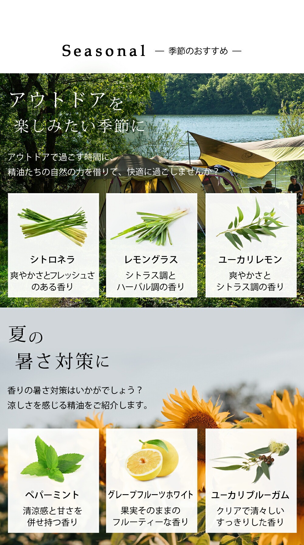季節のおすすめ