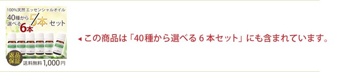 選べる5本セット