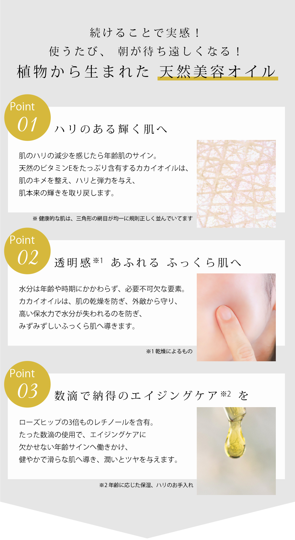 ポイント