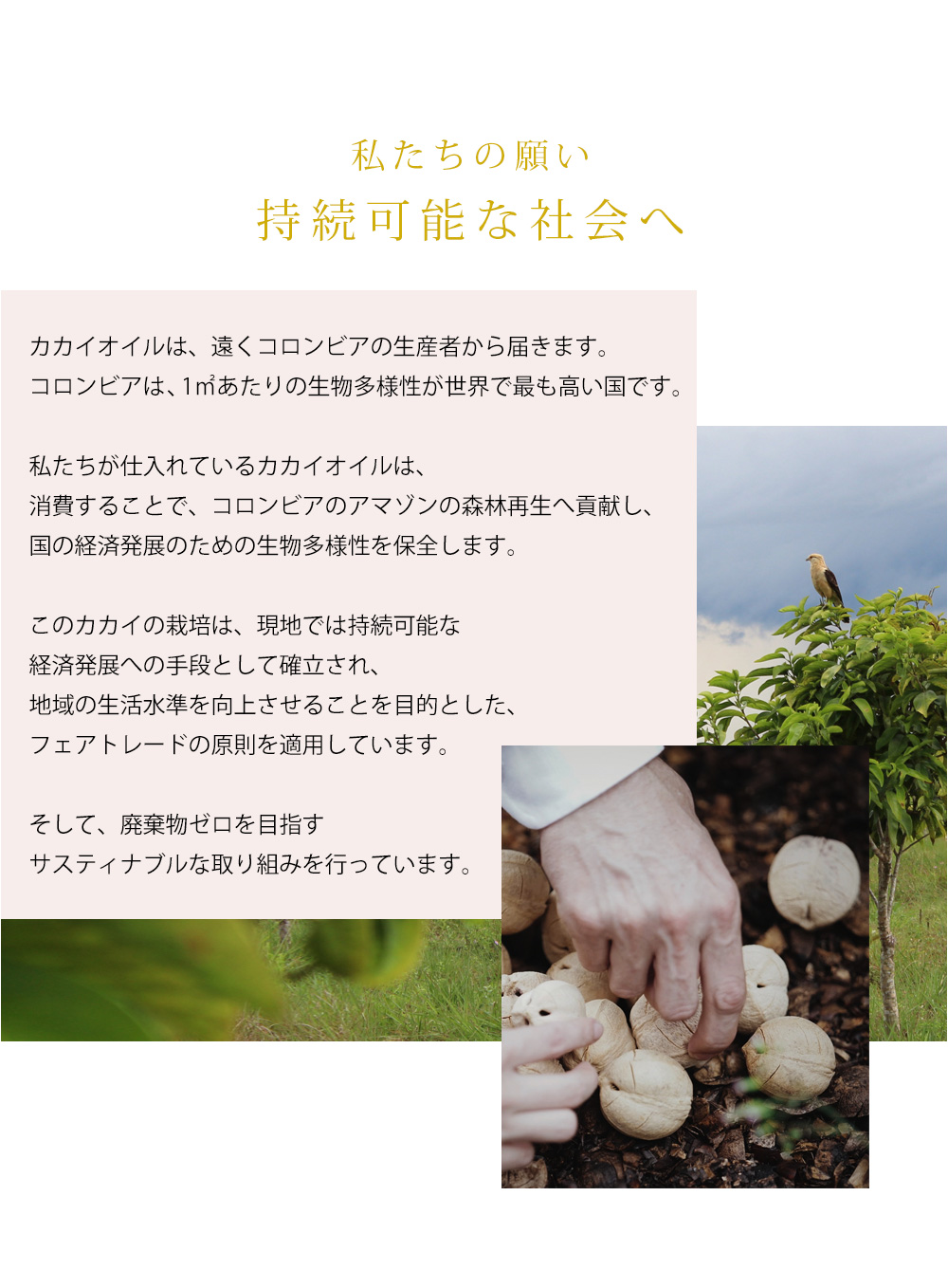 持続可能な社会へ