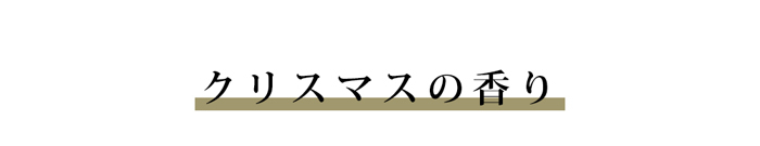 儚い日々を懐かしむ