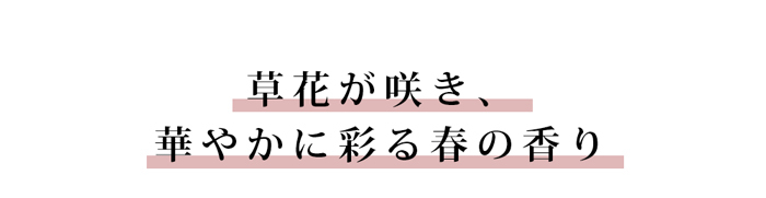 草花が咲き、華やかに彩る春の香り