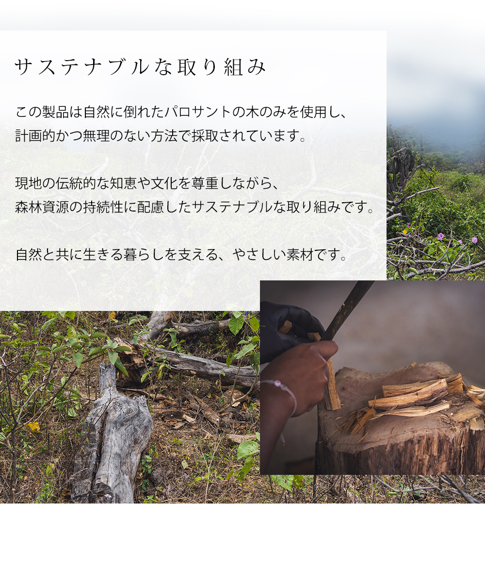 サステナブルな取り組み
