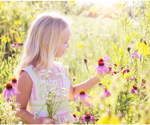 花畑の子供