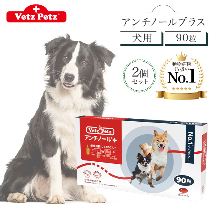 アンチノール プラス 犬用 90粒 サプリメント リニューアル Vetz Petz