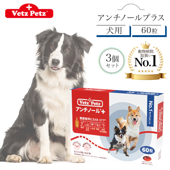 アンチノール プラス 犬用 60粒 サプリメント リニューアル Vetz Petz