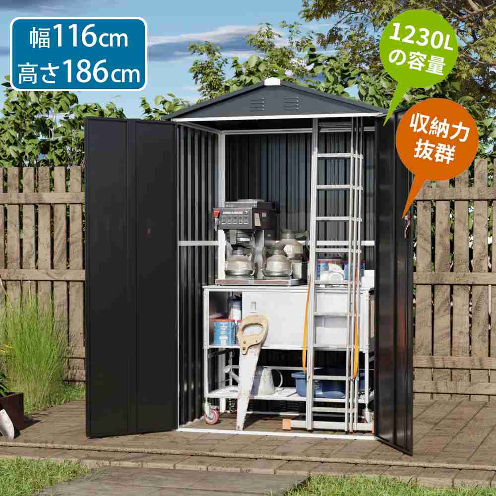 未使用品　Noritake となりのトトロ プレート 15.5cm 3枚セット 多肉植物 中国苗 クイーンエリオット 【公式通販】