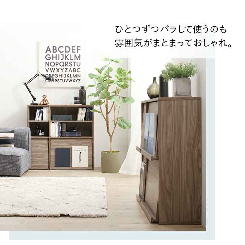本棚 2個組 扉付 幅60 奥行25 2個セット キャビネット 北欧 ブックシェルフ 絵本棚 薄型 モダン 大容量 下収納 扉付き スリムタイプ 幅60 奥行25_17