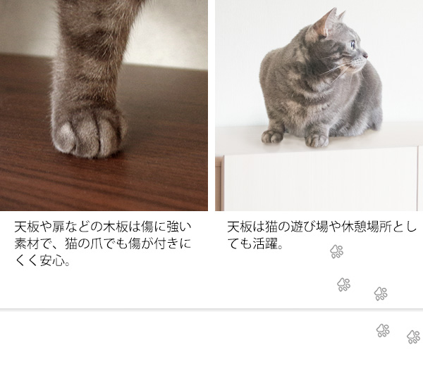 キャットトイレ収納