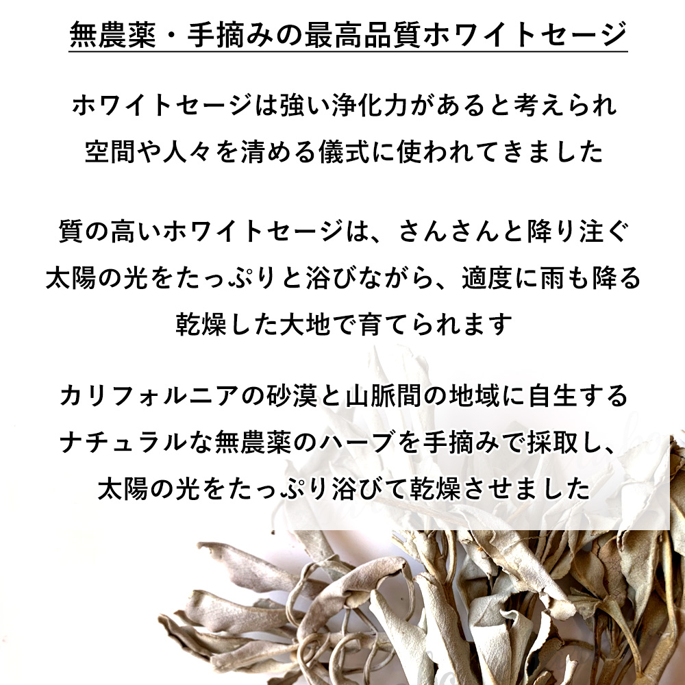 浄化用 ホワイトセージ カリフォルニア産 クラスター 45g 無農薬 最高