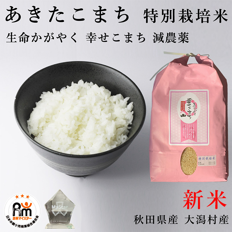 秋田産 あきたこまち 大粒米 玄米 3キロ 5年産 - 米