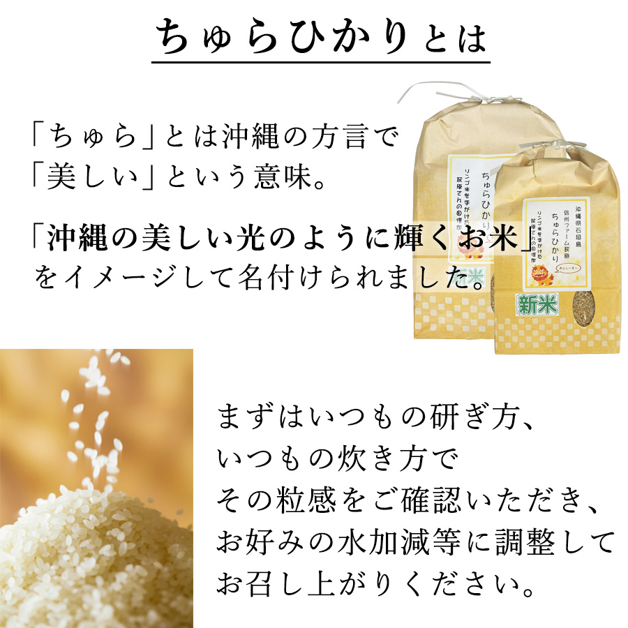 ちゅらひかり 沖縄県 石垣島産 10kg / 5kg×2袋 米 お米 令和6 ちゅらひかり 沖縄県 石垣島産 10kg / 5kg×2袋 米 お米 令和6