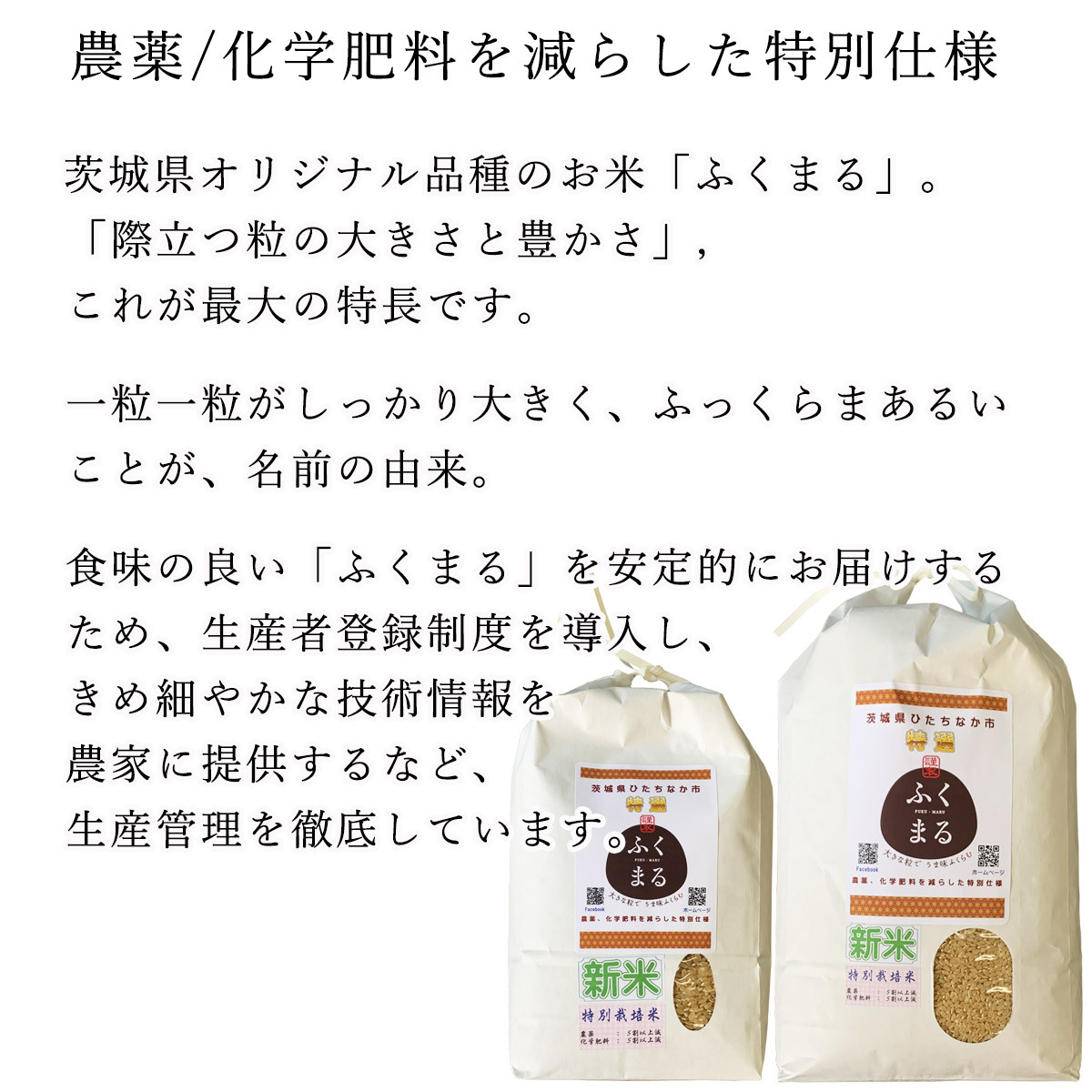 米 お米 5kg 特別栽培米 特選 ふくまる 農薬化学肥料を減らした